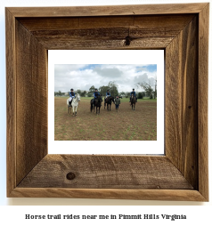 horse trail rides near me in Pimmit Hills, Virginia